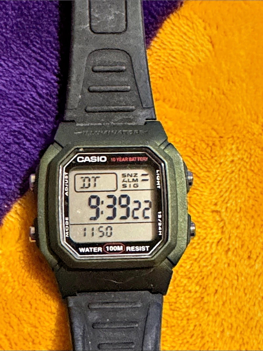Casio W-800H (Olive/Green Bezel Variant) Digital Watch Black & Silver